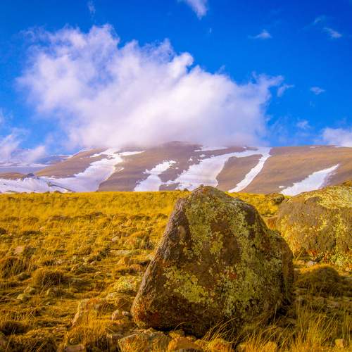 Photo #6073438