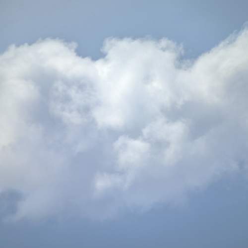 Photo #6073473