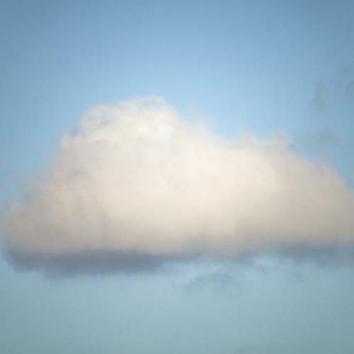 Photo #6073475