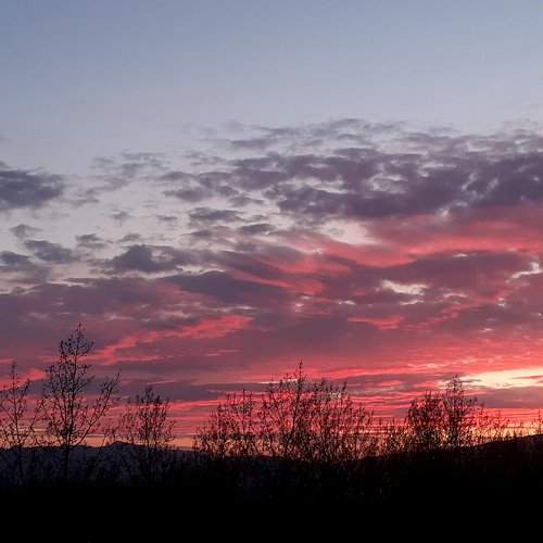 Photo #6073482