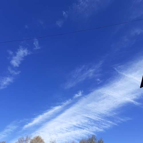 Photo #6073484