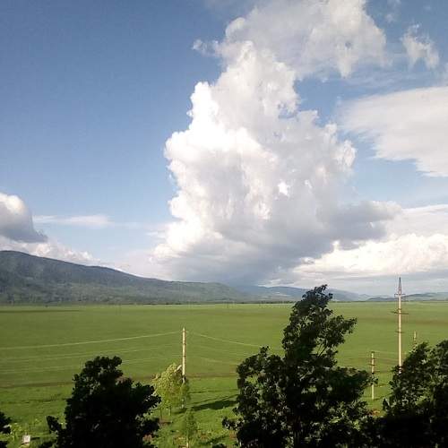 Photo #6073486