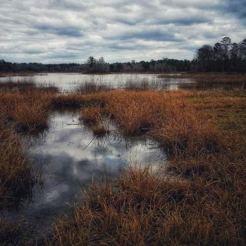 Photo #6073563