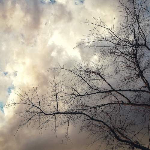 Photo #6073591