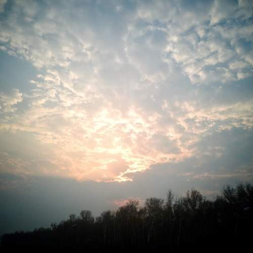 Photo #6073603