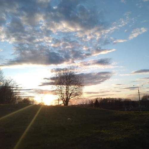 Photo #6073906
