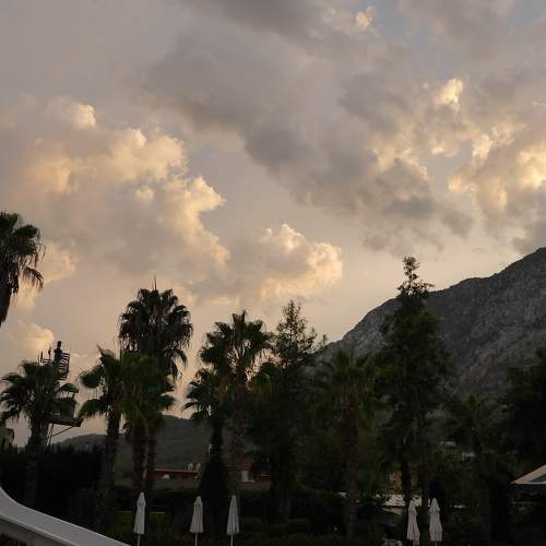 Photo #6074064