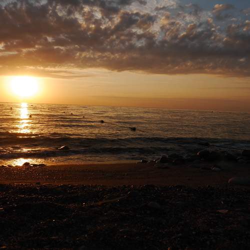 Photo #6074071