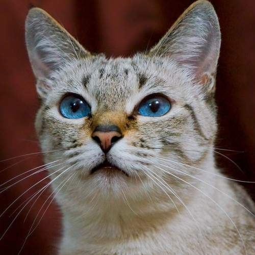 Photo #6074445