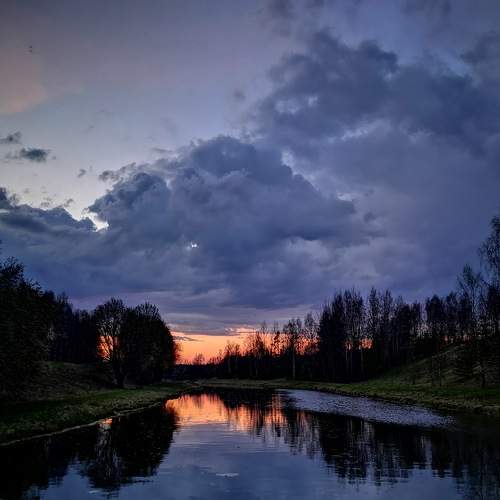 Photo #6074594