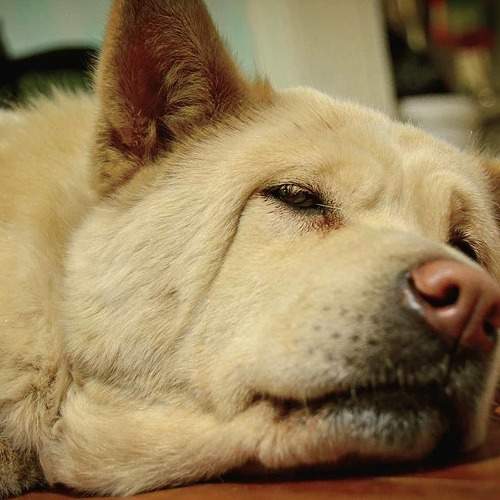 Photo #6074766