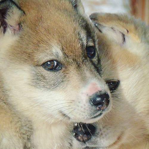 Photo #6074767