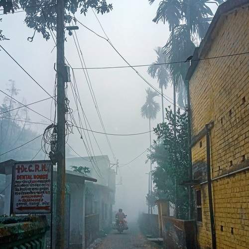 Photo #6074910