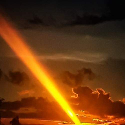 Photo #6074926
