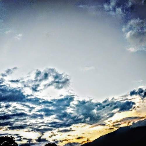 Photo #6075035