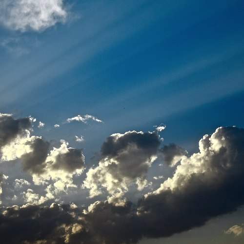 Photo #6075183