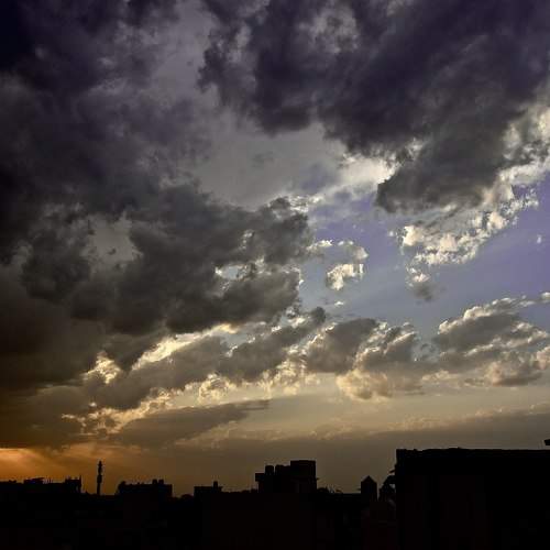Photo #6075185