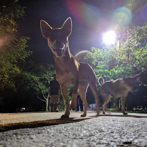 Photo #6075193