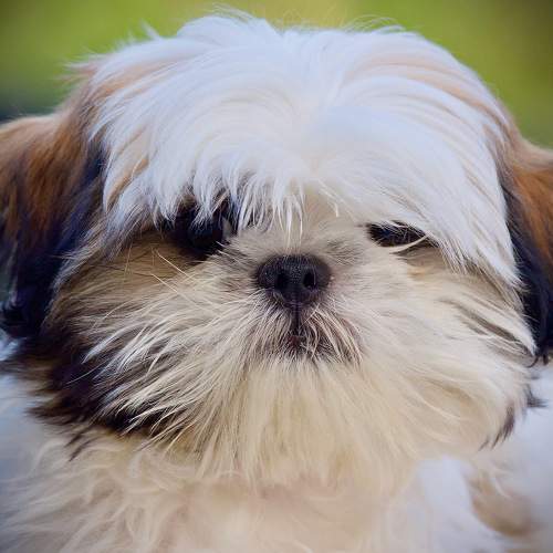 Photo #6075201