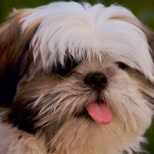 Photo #6075202