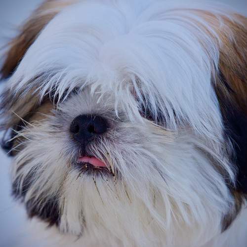 Photo #6075208