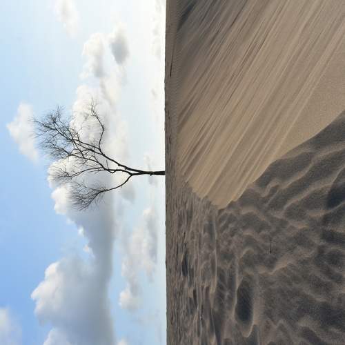 dancing tree
