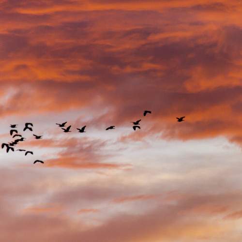 Photo #6075264