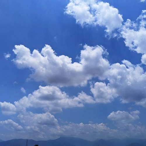 Photo #6075282