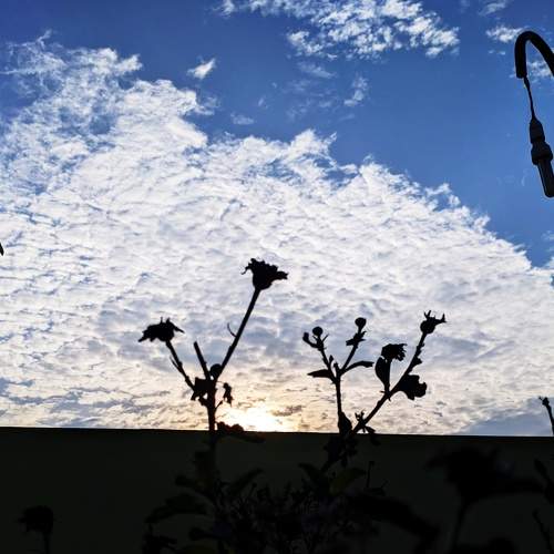 Photo #6075390
