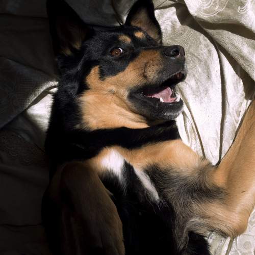 Photo #6075474