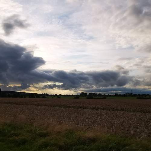Photo #6075660