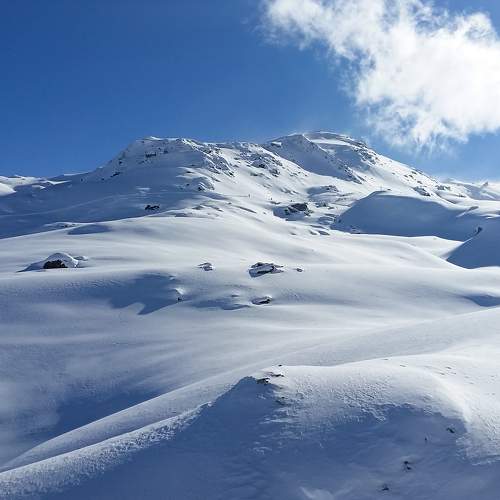 Photo #6075663