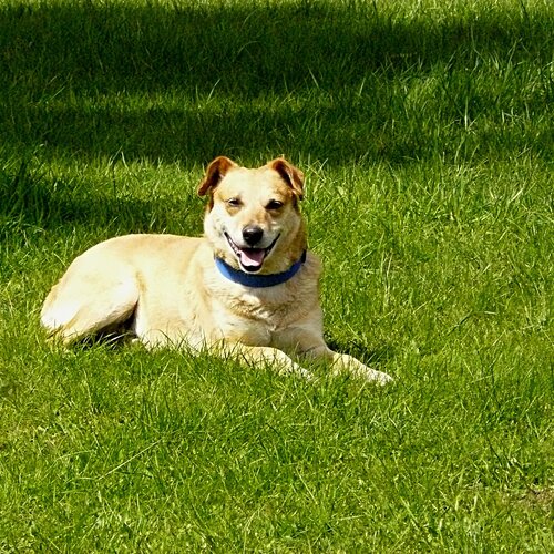 Photo #6075851
