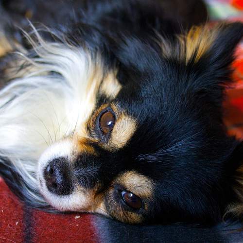 Photo #6075953