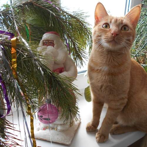 Photo #6075970