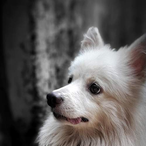 Photo #6076482