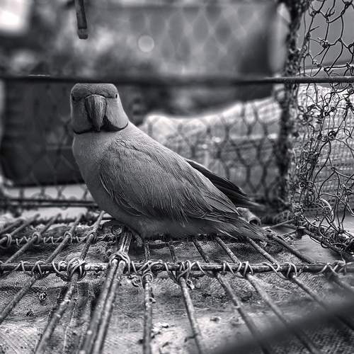 Photo #6076486