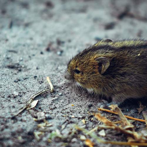 Photo #6076517