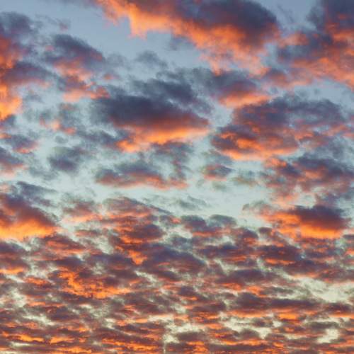 Photo #6076554