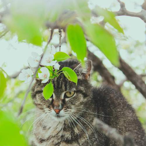 Photo #6076831