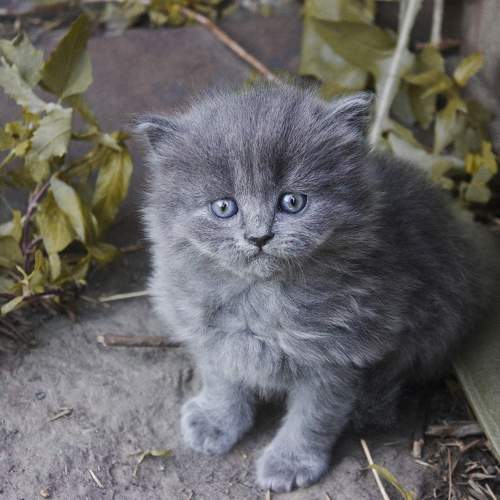 Photo #6076845