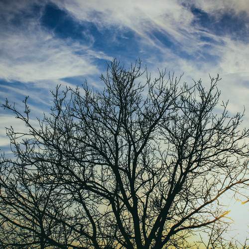 Photo #6076846