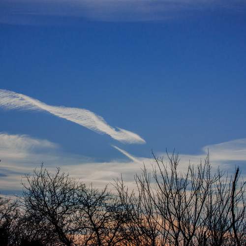 Photo #6076847
