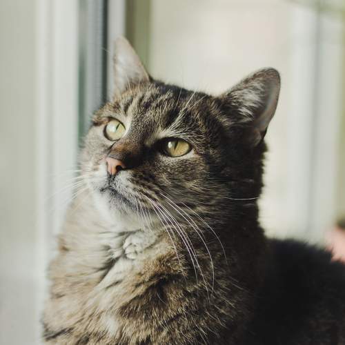 Photo #6076882