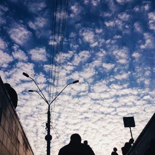 Photo #6076888