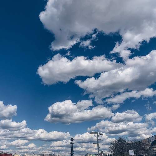 Photo #6077108