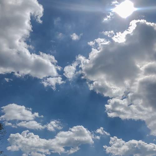 Photo #6077110