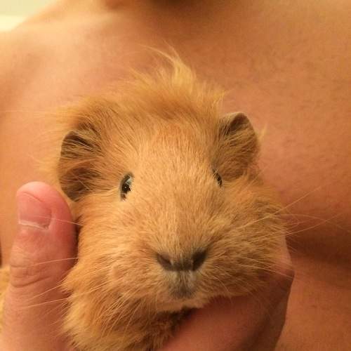 Photo #6077119