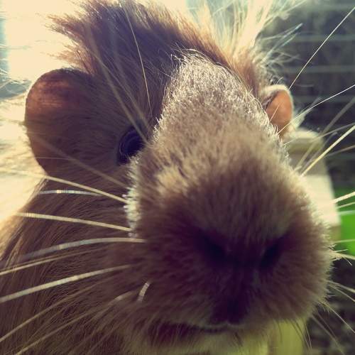 Photo #6077120