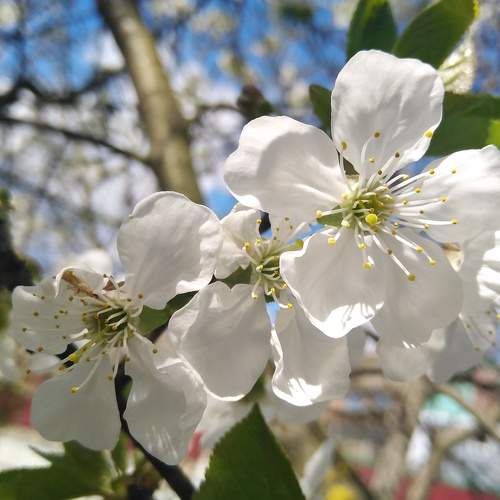 Photo #6077133